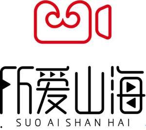爱豆影视传媒有限公司,打造影视新势力，引领行业风向标